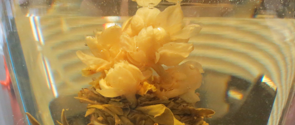 The Art of Making Flowering Tea